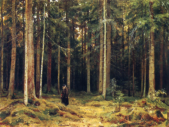 Картина Шишкина В лесу графини Мордвиновой. Петергоф. 1891 год