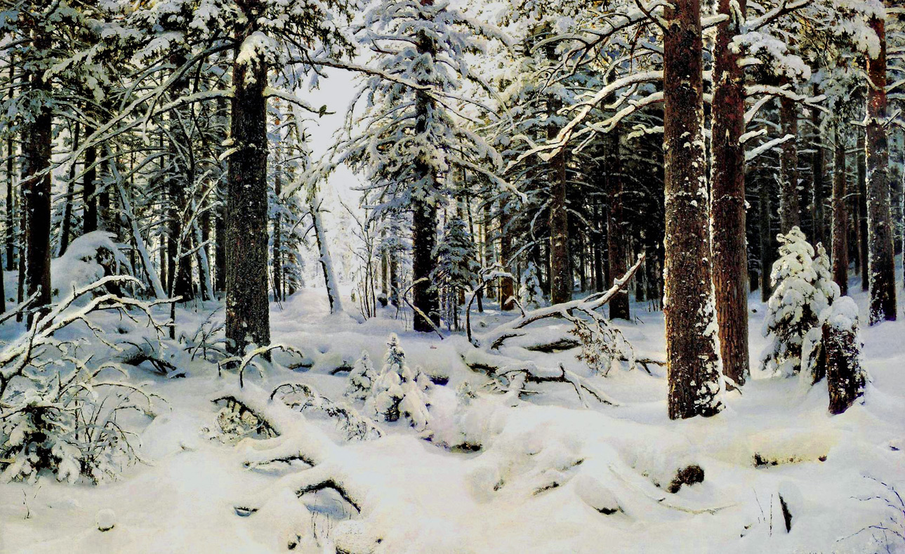 Картина Шишкина Зима. 1890 г. Краткое описание