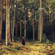 Картина Шишкина В лесу графини Мордвиновой. Петергоф. 1891 год