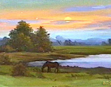 Late evening Landscape